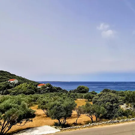 度假居 Beautiful Home In Miholascica